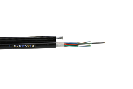 Figure 8 Cable(GYTC8Y)